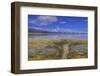 A delta on Middle Alkali Lake east of Cedarville, California.-Richard Wright-Framed Photographic Print