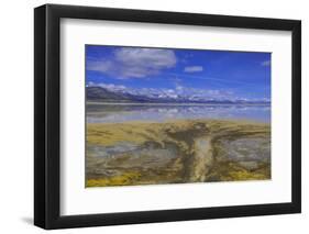 A delta on Middle Alkali Lake east of Cedarville, California.-Richard Wright-Framed Photographic Print