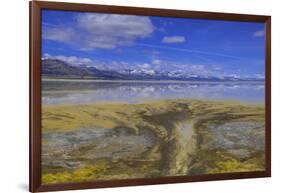 A delta on Middle Alkali Lake east of Cedarville, California.-Richard Wright-Framed Photographic Print