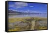 A delta on Middle Alkali Lake east of Cedarville, California.-Richard Wright-Framed Stretched Canvas