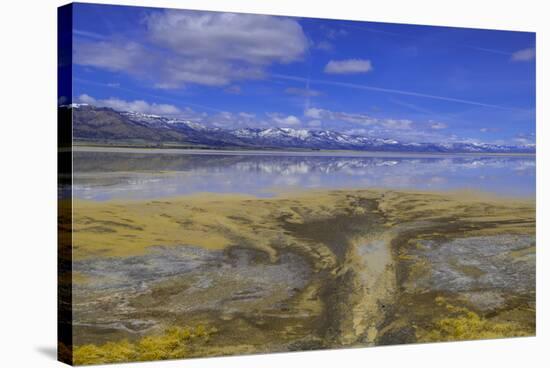 A delta on Middle Alkali Lake east of Cedarville, California.-Richard Wright-Stretched Canvas