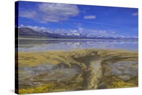 A delta on Middle Alkali Lake east of Cedarville, California.-Richard Wright-Stretched Canvas