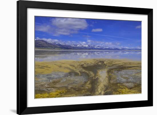 A delta on Middle Alkali Lake east of Cedarville, California.-Richard Wright-Framed Photographic Print