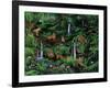 A Den of Lions-Betty Lou-Framed Giclee Print