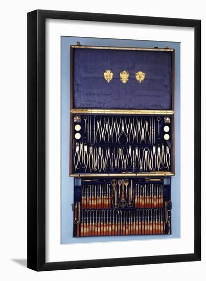 A Dental Tool Set by Bucquet, Paris, circa 1875-null-Framed Giclee Print