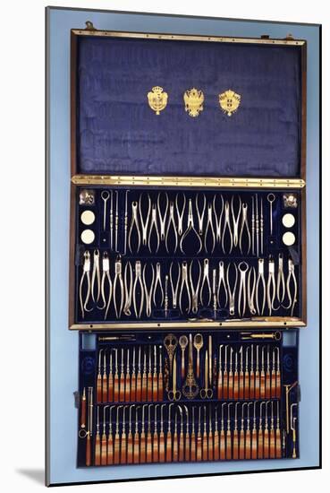 A Dental Tool Set by Bucquet, Paris, circa 1875-null-Mounted Giclee Print