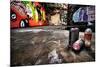 A Derelict Area Of Graffiti-sammyc-Mounted Photographic Print