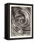 A Descent into Maelstrom-Arthur Rackham-Framed Stretched Canvas