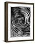 'A Descent into the Maelstrom' by Edgar Allan Poe-Arthur Rackham-Framed Giclee Print