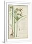 Gramercy White