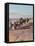 A Desert Camel Caravan - Peking to Russian Turkestan-Ella K. Maillart-Framed Stretched Canvas