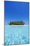 A deserted tropical island covered with palm trees amidst calm turquoise water.-Stuart Westmorland-Mounted Photographic Print