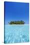 A deserted tropical island covered with palm trees amidst calm turquoise water.-Stuart Westmorland-Stretched Canvas