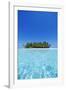 A deserted tropical island covered with palm trees amidst calm turquoise water.-Stuart Westmorland-Framed Photographic Print