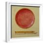 A Design for a Gold-Mounted Circular Guilloche Enamel Dish-null-Framed Giclee Print