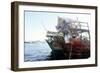 A dhow at anchor-Werner Forman-Framed Giclee Print