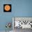 A Diagram Comparing the Sun to VY Canis Majoris-Stocktrek Images-Stretched Canvas displayed on a wall