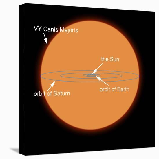 A Diagram Comparing the Sun to VY Canis Majoris-Stocktrek Images-Stretched Canvas