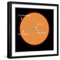 A Diagram Comparing the Sun to VY Canis Majoris-Stocktrek Images-Framed Premium Photographic Print