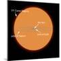 A Diagram Comparing the Sun to VY Canis Majoris-Stocktrek Images-Mounted Premium Photographic Print