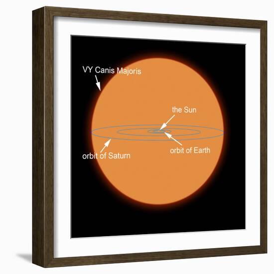 A Diagram Comparing the Sun to VY Canis Majoris-Stocktrek Images-Framed Photographic Print