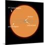 A Diagram Comparing the Sun to VY Canis Majoris-Stocktrek Images-Mounted Photographic Print