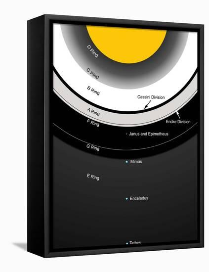 A Diagram Showing the Major Features of Saturn's Rings-Stocktrek Images-Framed Stretched Canvas