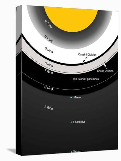 A Diagram Showing the Major Features of Saturn's Rings-Stocktrek Images-Stretched Canvas