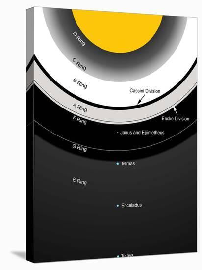 A Diagram Showing the Major Features of Saturn's Rings-Stocktrek Images-Stretched Canvas