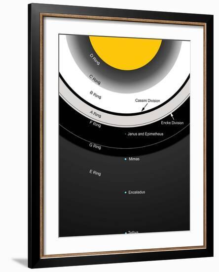 A Diagram Showing the Major Features of Saturn's Rings-Stocktrek Images-Framed Photographic Print