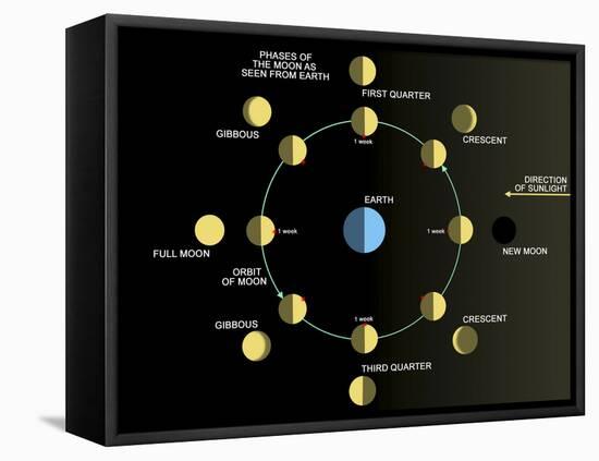 A Diagram Showing the Phases of the Earth's Moon-Stocktrek Images-Framed Stretched Canvas