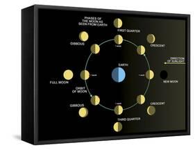 A Diagram Showing the Phases of the Earth's Moon-Stocktrek Images-Framed Stretched Canvas