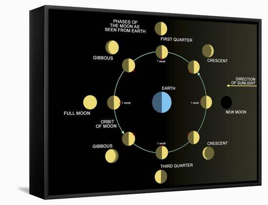 A Diagram Showing the Phases of the Earth's Moon-Stocktrek Images-Framed Stretched Canvas