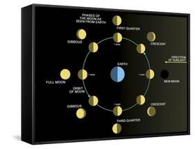 A Diagram Showing the Phases of the Earth's Moon-Stocktrek Images-Framed Stretched Canvas