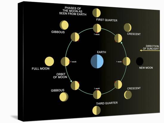 A Diagram Showing the Phases of the Earth's Moon-Stocktrek Images-Stretched Canvas