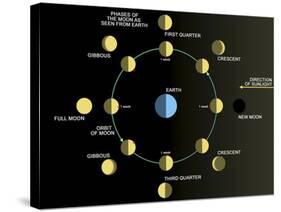 A Diagram Showing the Phases of the Earth's Moon-Stocktrek Images-Stretched Canvas