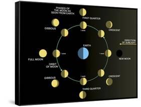 A Diagram Showing the Phases of the Earth's Moon-Stocktrek Images-Framed Stretched Canvas