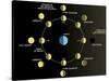 A Diagram Showing the Phases of the Earth's Moon-Stocktrek Images-Stretched Canvas