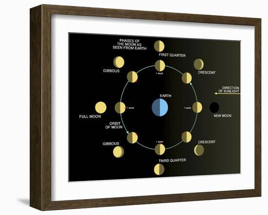 A Diagram Showing the Phases of the Earth's Moon-Stocktrek Images-Framed Premium Photographic Print