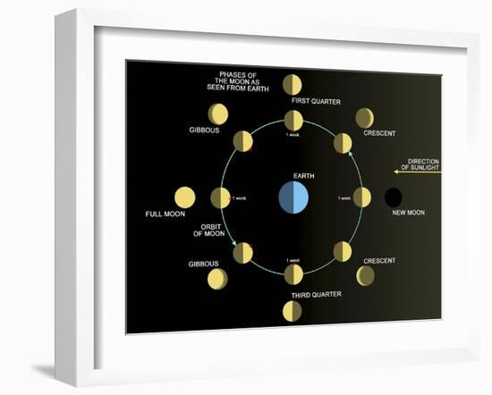 A Diagram Showing the Phases of the Earth's Moon-Stocktrek Images-Framed Premium Photographic Print