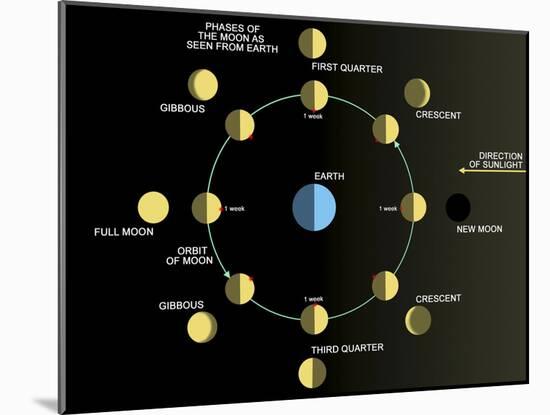 A Diagram Showing the Phases of the Earth's Moon-Stocktrek Images-Mounted Premium Photographic Print