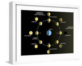 A Diagram Showing the Phases of the Earth's Moon-Stocktrek Images-Framed Photographic Print