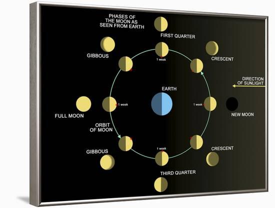A Diagram Showing the Phases of the Earth's Moon-Stocktrek Images-Framed Photographic Print