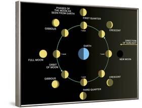 A Diagram Showing the Phases of the Earth's Moon-Stocktrek Images-Framed Photographic Print