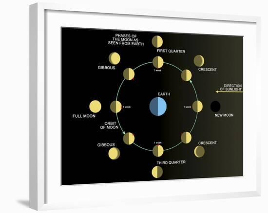 A Diagram Showing the Phases of the Earth's Moon-Stocktrek Images-Framed Photographic Print