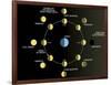 A Diagram Showing the Phases of the Earth's Moon-Stocktrek Images-Framed Photographic Print