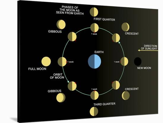 A Diagram Showing the Phases of the Earth's Moon-Stocktrek Images-Stretched Canvas