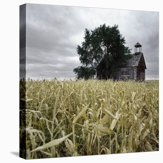 A Dilapidated Building in a Field-null-Stretched Canvas
