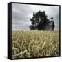 A Dilapidated Building in a Field-null-Framed Stretched Canvas