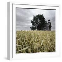 A Dilapidated Building in a Field-null-Framed Photographic Print